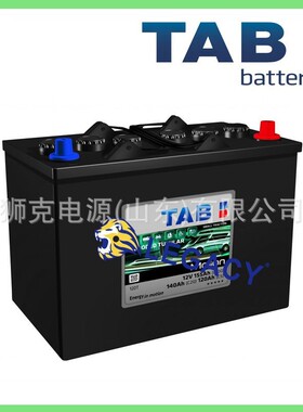 瑞士TAB蓄电池12V155AH /100HR 半牵引富液阀控式电瓶