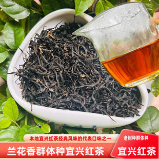 花果香正宗2025群体种宜兴红茶阳羡老品种特级茶叶250g罐装包邮