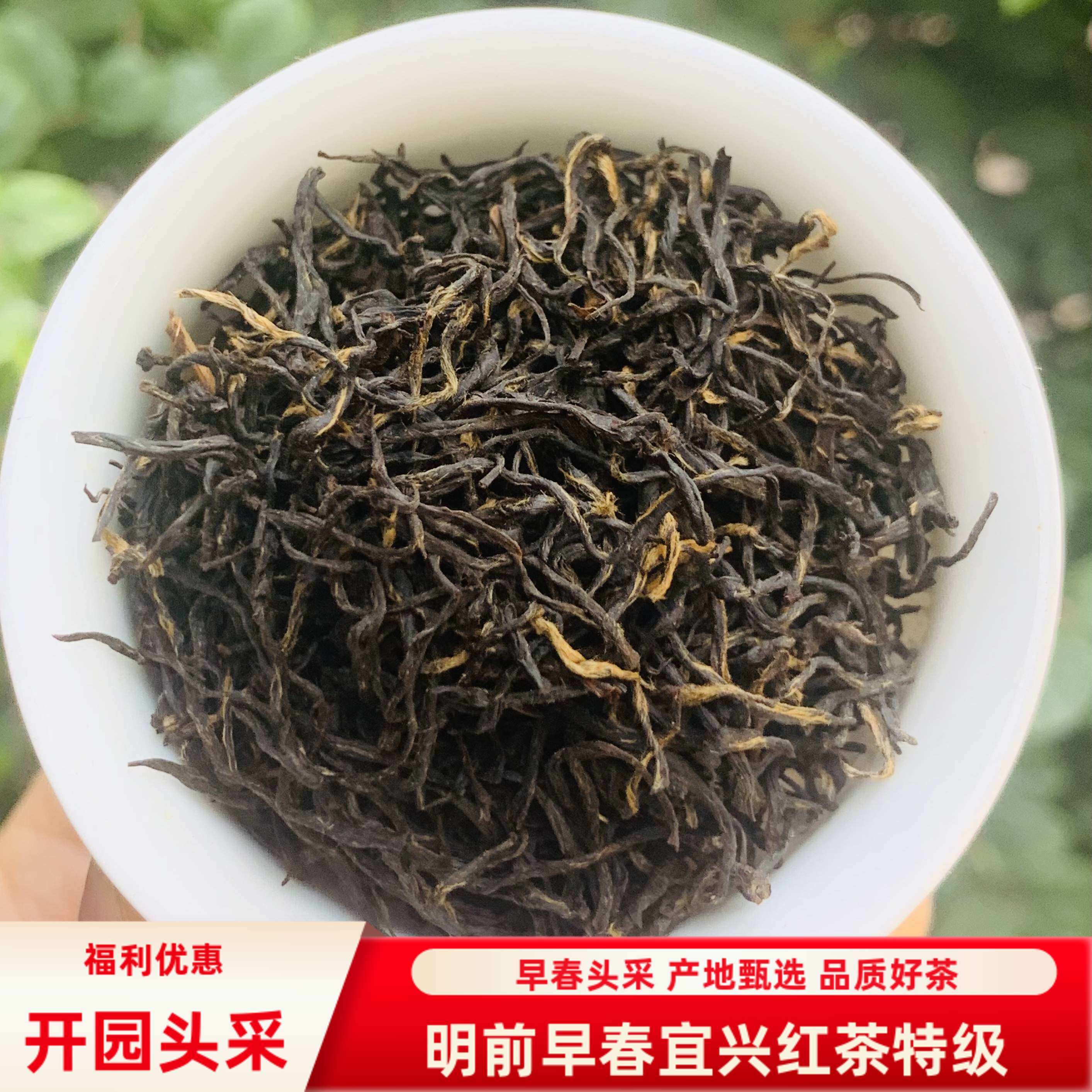 2026新茶上市明前头采宜兴红茶特级阳羡茶叶250g散罐装包邮
