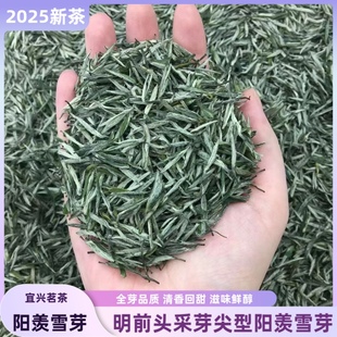 2025新茶明前头采宜兴阳羡雪芽特级嫩芽芽尖无锡绿茶散装包邮罐装