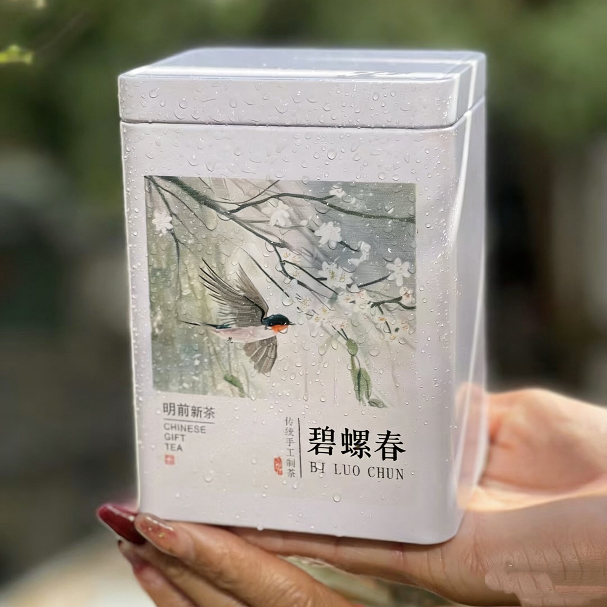 2026新茶上市明前头采手工宜兴碧螺春绿茶茗茶阳羡茶叶罐装包邮