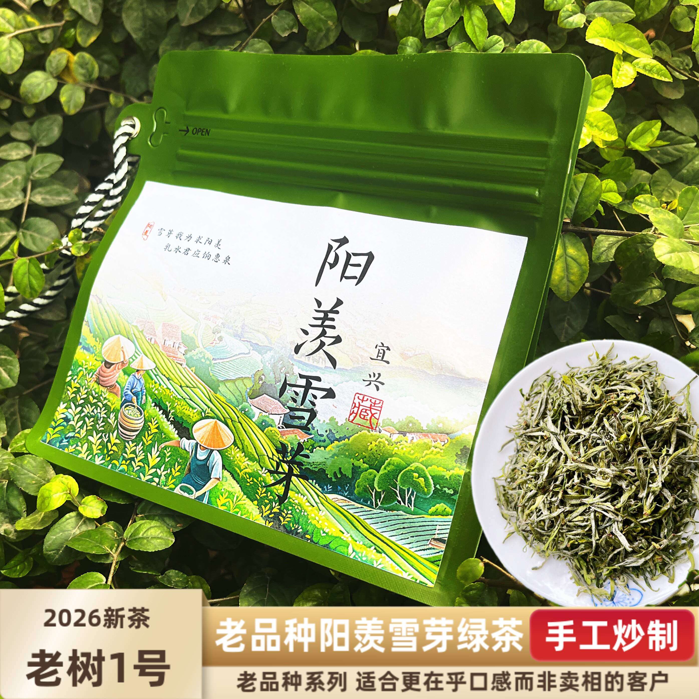 老品种2026明前老树小叶种宜兴阳羡雪芽无锡绿茶125g散装包邮江苏