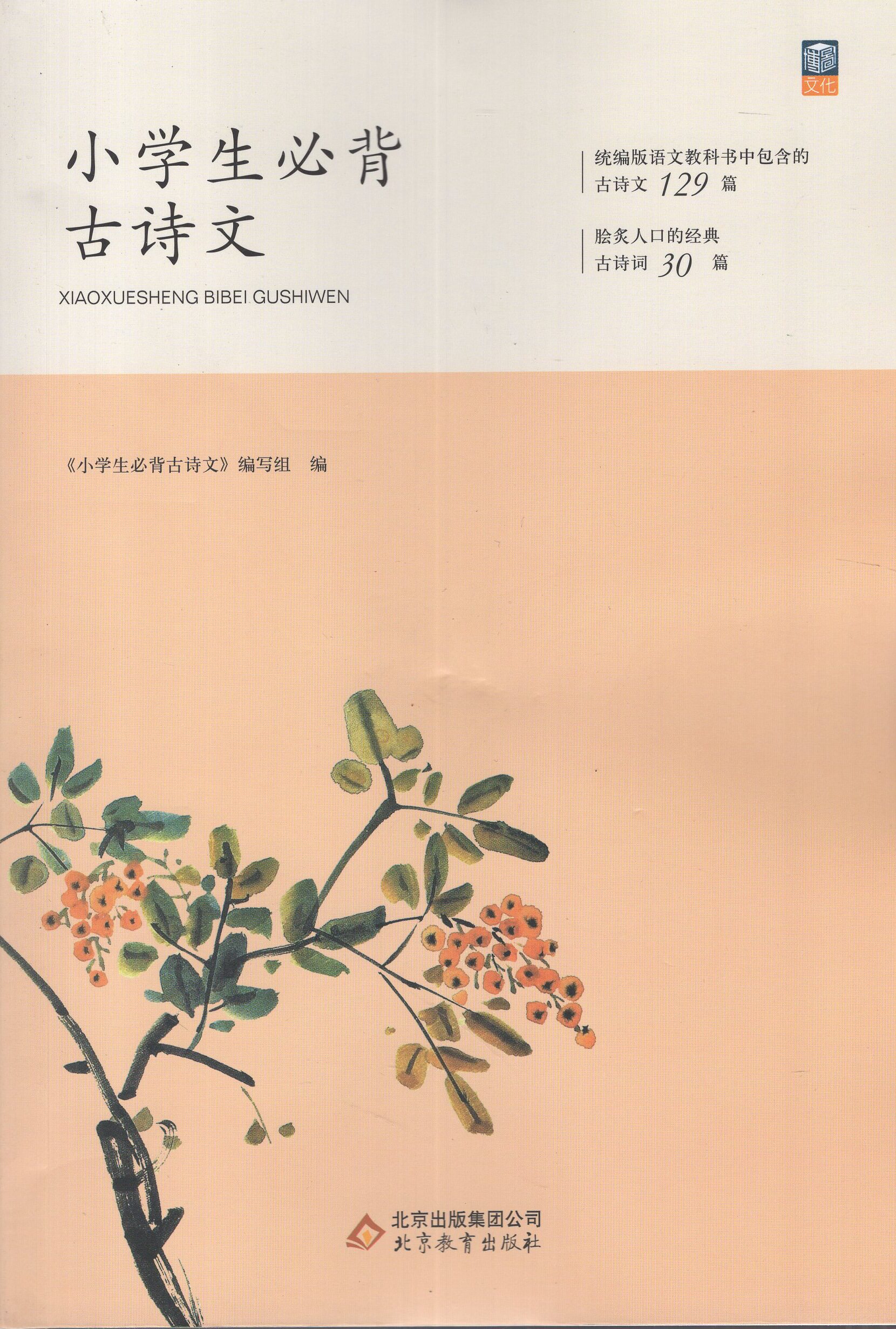 涵盖一到六年级背古诗 小学生文言文小学通用一二三四五六年级古诗词