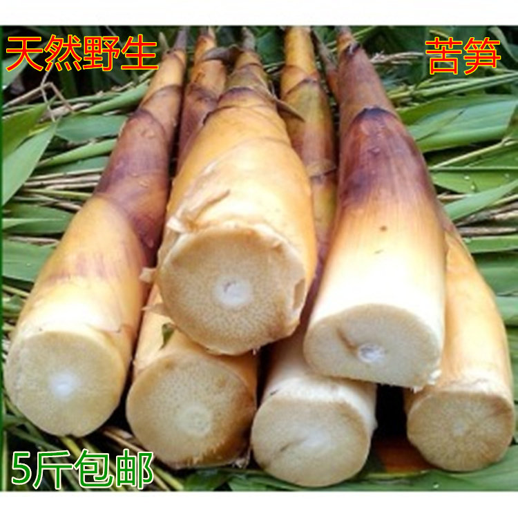 四川宜宾新鲜苦笋苦竹笋2.5kg 春笋野生竹笋蔬菜雷笋冬笋满 包邮