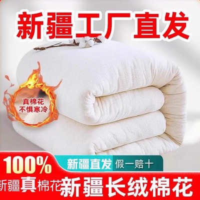 新疆直发100纯棉花保暖棉花被芯