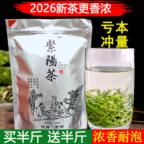 绿茶2026紫阳毛尖安康浓香型