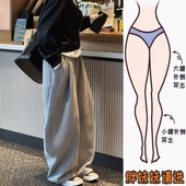 景倩妮灰色简约百搭宽松休闲裤 梨形高腰显瘦阔腿裤 2025年秋季 新款