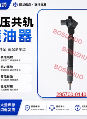 295700-0140共轨喷油器 33800-4A900 适用于现代Grand Starex H-1