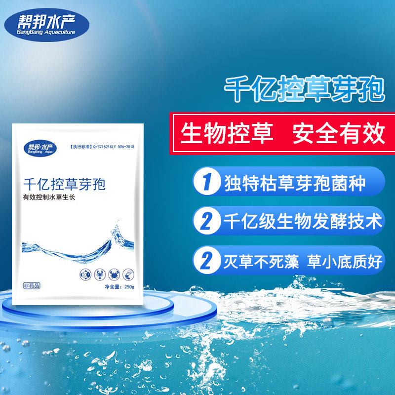芽孢 枯草芽孢 水草泛滥 水草 控草 千亿控草芽孢 帮邦水产|msdalam kategori haiwan peliharaan/makanan haiwan dan bekalan, Aquarium World, 其他益生菌 - dari Buy2taobao.com untuk memberikan perkhidmatan ejen Taobao profesional membeli