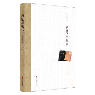 遇见宋版书姜青青南宋文化研究中华传统文化参考文献鉴赏收藏南宋史研究图书印刷装帧皇城图京城图复原雕印流传整理宋唐编正版书籍