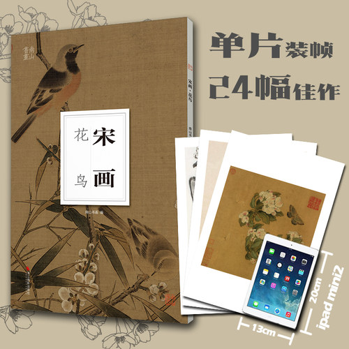 宋画花鸟南山册页 宋画高清图临摹正8开散页装帧可装裱可装饰收藏 宋代名家工笔写意花鸟画小品 中国画花鸟画册页经典范本正版书籍