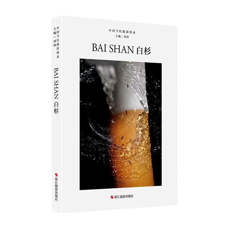 中国当代摄影图录：王征 刘铮著 观念摄影艺术家世界当代摄影大师成名作摄影高清作品集/新纪实摄影照片解析/摄影作品画册鉴