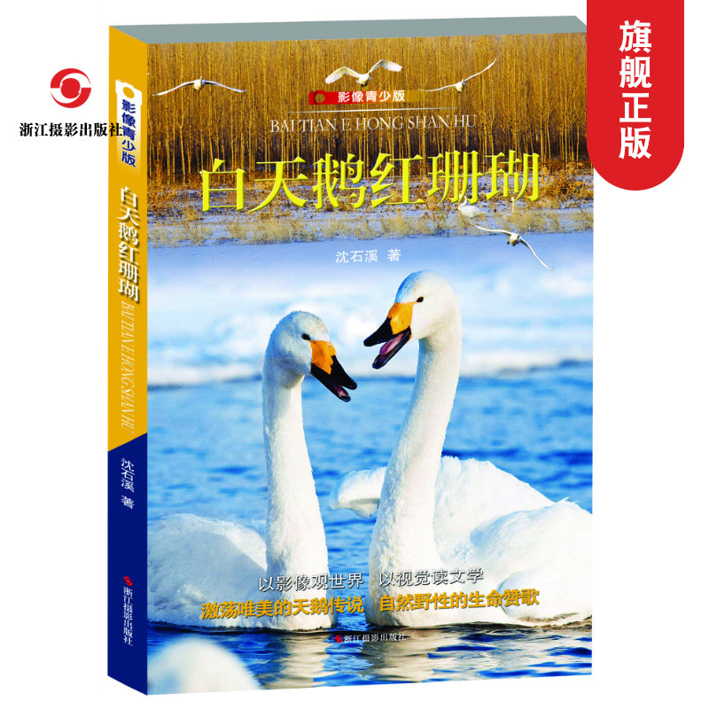 白天鹅红珊瑚(影像青少版) 彩色插图六五四三年级小学生课外书必读