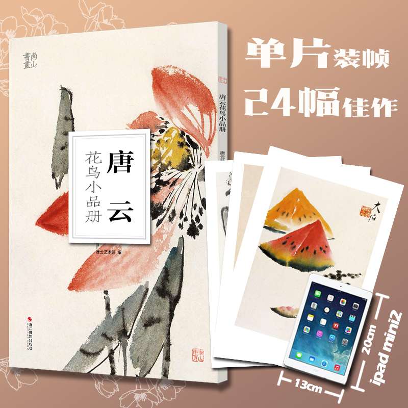 唐云花鸟小品册/南山册页 大8开单片高清印刷 历代名家册页鉴赏临摹画册 初学者绘画中国画水墨画花鸟画技法教程作品集 南山册页