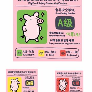 小红书同款猪猪标识冰箱贴安全等级亚克力磁吸创意装饰收藏礼物