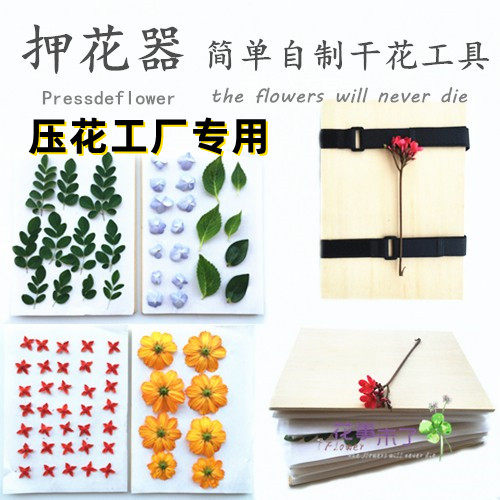diy植物标本工具儿童自制压花器