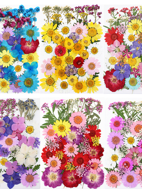 40片干花包压花材料包 Pressed Flower玫瑰包 押花真花真树叶标本