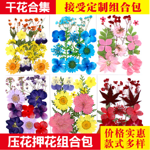 干花材料包压花diy植物标本