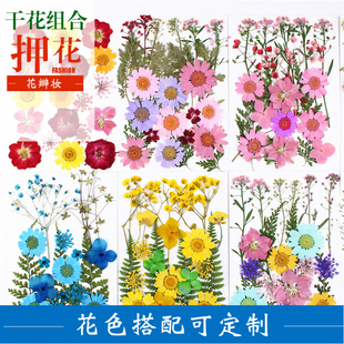 幼儿园手工真树叶标本 树叶粘贴画 创意书签 押花材料包 压花干花