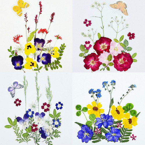 沙龙儿童手工干花压花植物标本