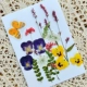 Butterfly Love Flower 2