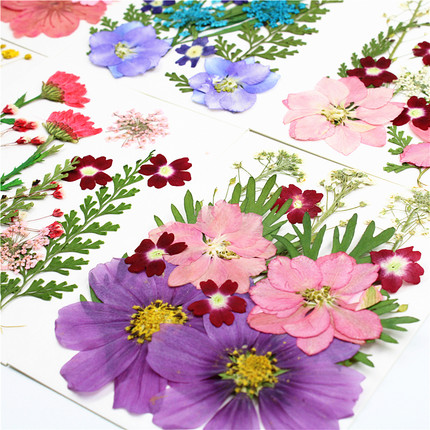 树叶粘贴画 幼儿园手工真树叶标本 压花干花 押花材料包创意书签