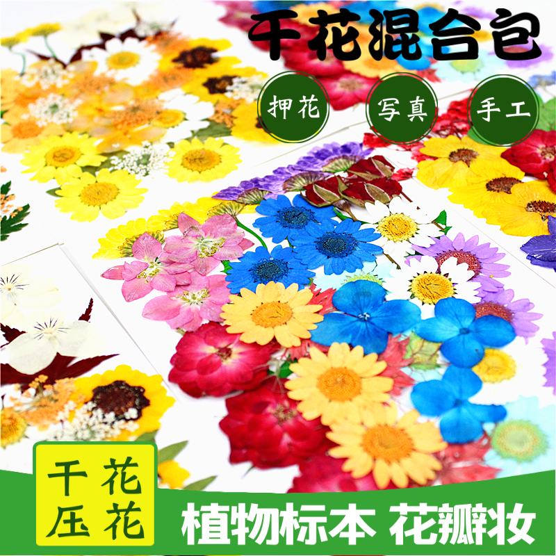 压花组合包真树叶押花花瓣妆