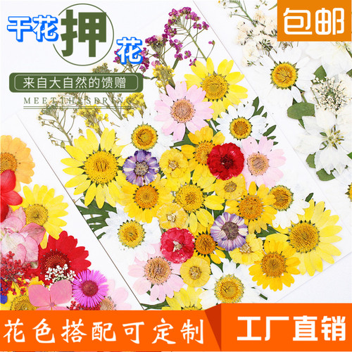 干花标本真花手工diy花事未了
