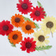 向日葵 植物标本节日礼品滴胶拍摄道具新娘妆干花妆 干花压花