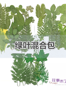 干花树叶压花手工材料植物标本