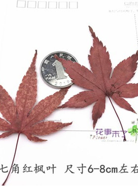 红枫叶手机壳教学未了天然干花