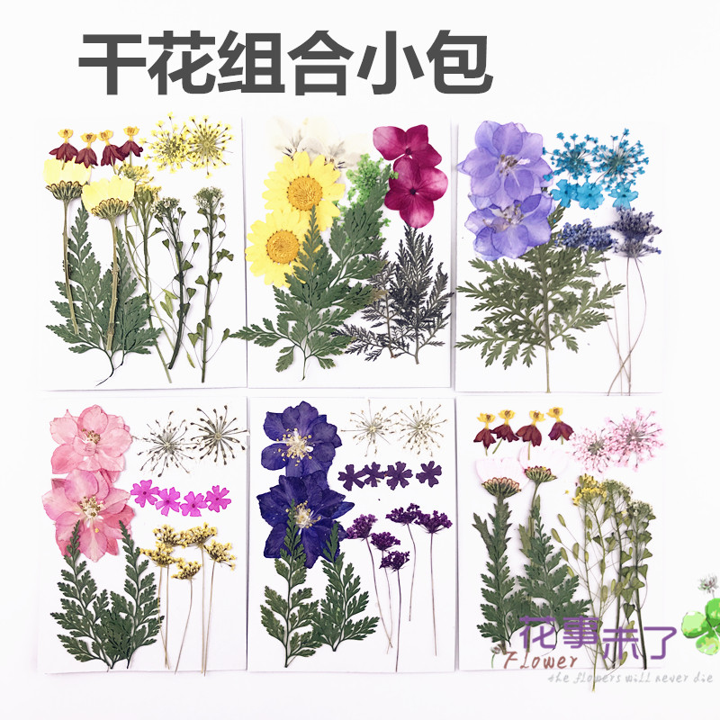 干花妆花瓣妆脸部装饰儿童手工植物标本滴胶干花手机壳压花押花