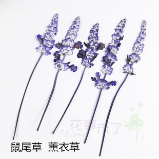 新娘妆节日礼品手工贺卡书签 干花压花树叶贴画 鼠尾草 薰衣草