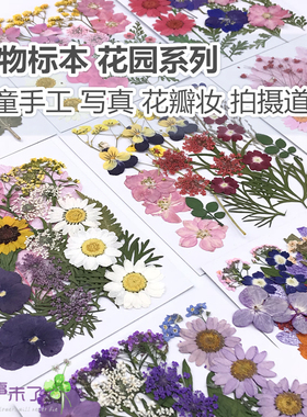 干花diy贴脸压花押花书签滴胶
