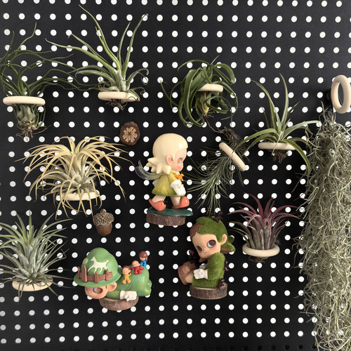 空气凤梨带支架底座手办底座