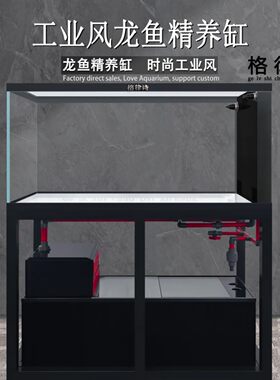 格律诗底滤缸工业风精养缸落地式龙缸吉罗蝴蝶鲤精养缸鳜鱼虎鱼猛