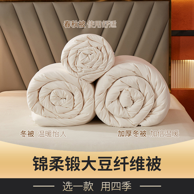 加厚冬被春秋被子二合一子母被