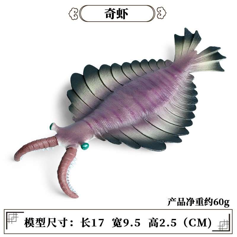 儿童认知玩具仿真海洋海底动物模型摆件寒武纪远古生物奇虾鹦鹉螺