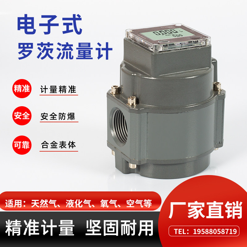 电子数显高精度流量表天然气氮气氧气压缩空气乙炔防爆罗茨流量计