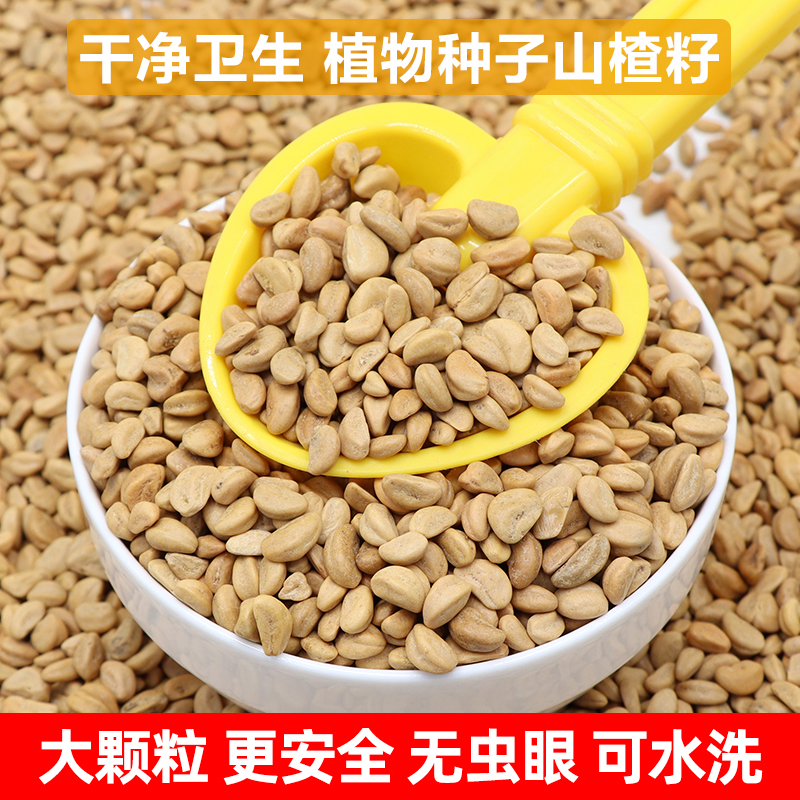 兒童山楂籽玩具套裝干凈衛生