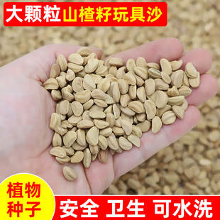 宝宝家用枕头室内沙滩玩具沙子 山楂籽玩具沙儿童沙子玩具沙池套装