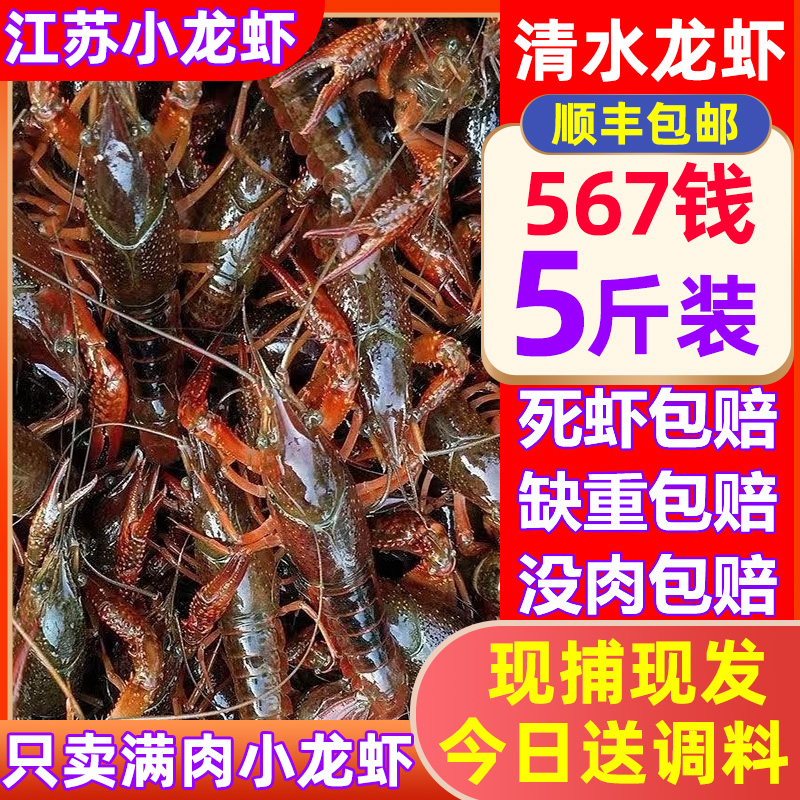 鲜活小龙虾789钱5斤江苏特大青红壳虾淡水虾清水水产饭店顺丰包邮 水产肉类/新鲜蔬果/熟食 活虾 原图主图