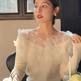 胖mm修身 300斤特大码 新款 T女2025秋季 显瘦 纯欲设计感网纱花朵长袖