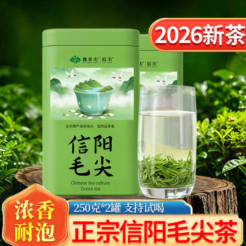 正宗信阳毛尖1斤2026年新茶原产手工毛尖茶叶浓香口粮绿茶自己喝