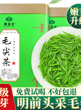 嫩芽毛尖茶绿茶2025新茶正宗高山新芽花香浓郁味醇耐泡型罐装茶叶