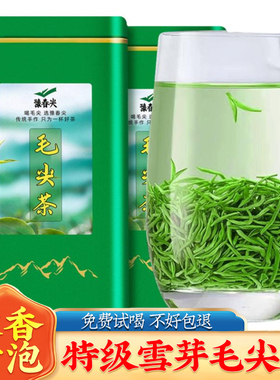信阳毛尖茶2025新茶明前芽头春茶叶雪芽特级绿茶送长辈罐装自己喝