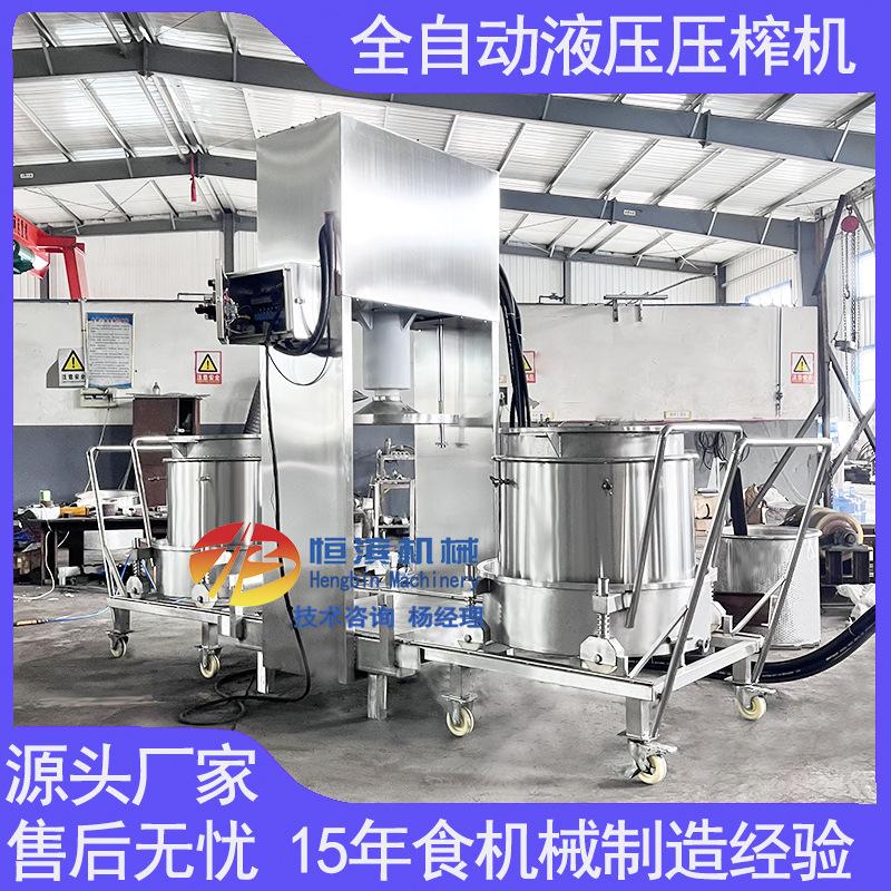 框栏式冰葡萄快速榨汁机新鲜蓝莓蔓越莓果汁过滤压榨机