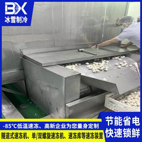 定制不锈钢网带速冻机 低温冷藏保鲜速冻设备 生鲜食品速冻流水线