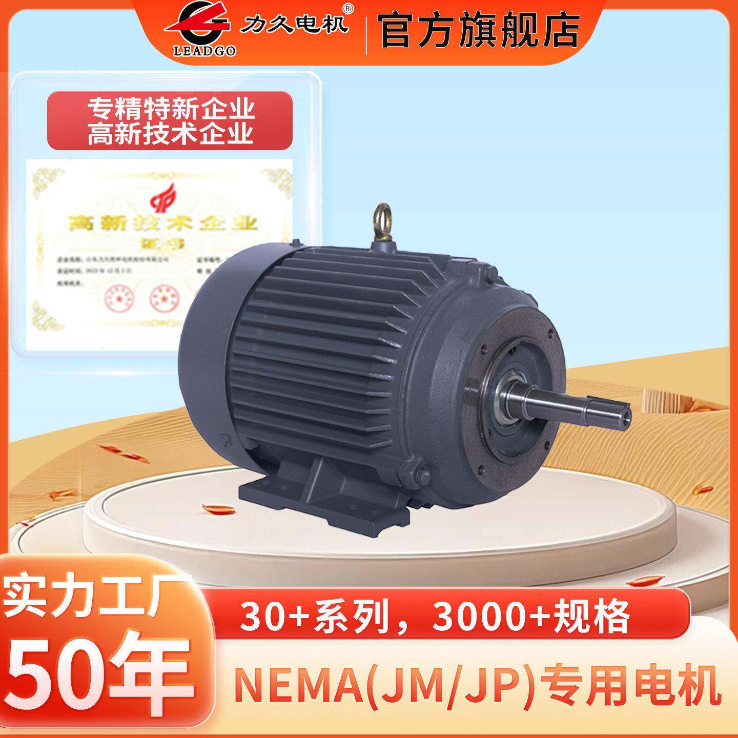 NEMA MG1标准（JM/JP)美国加拿大CSA/CC认证全封闭耦合泵电机