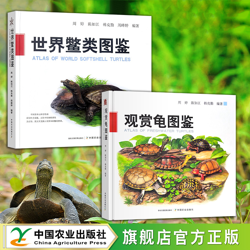 【官方正版】世界鳖类图鉴 观赏龟图鉴 周婷,陈如江,韩克勤,周峰婷等